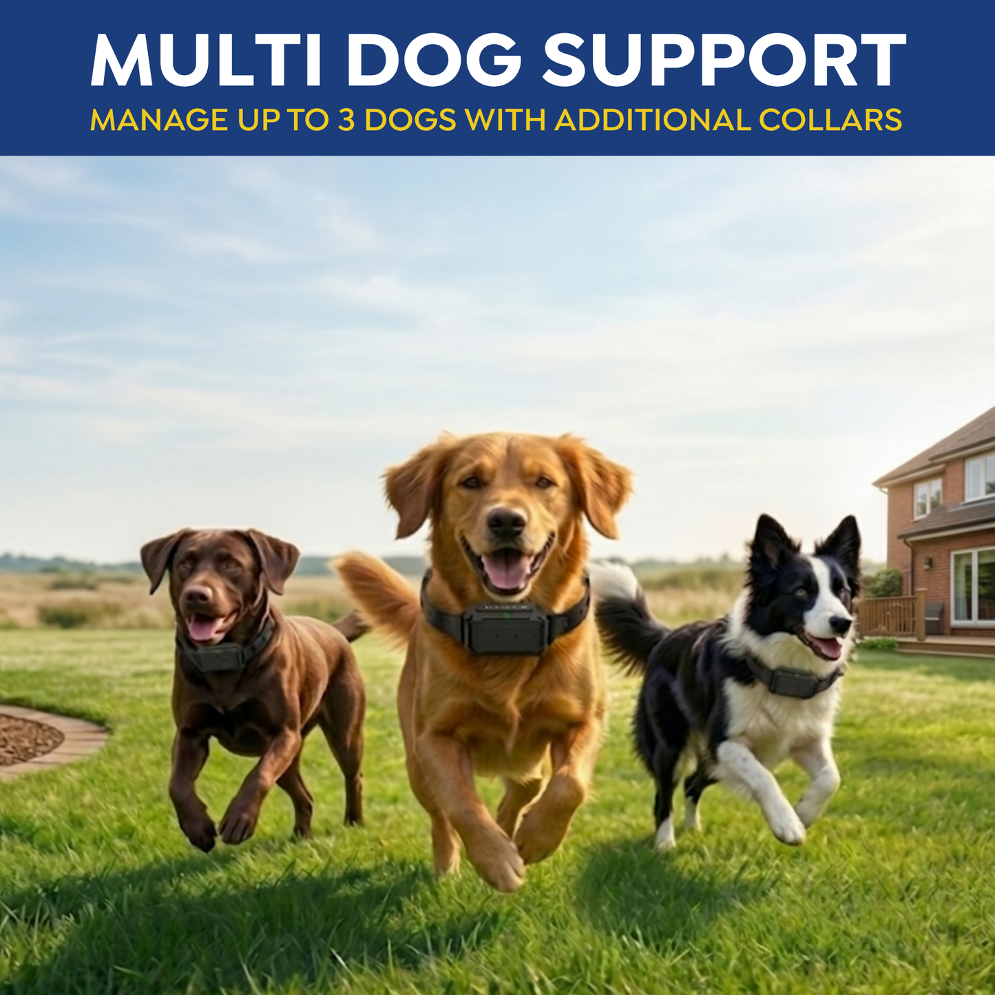 PawGuard F900 Plus Wireless Dog Fence 3-in-1 System with Training Features