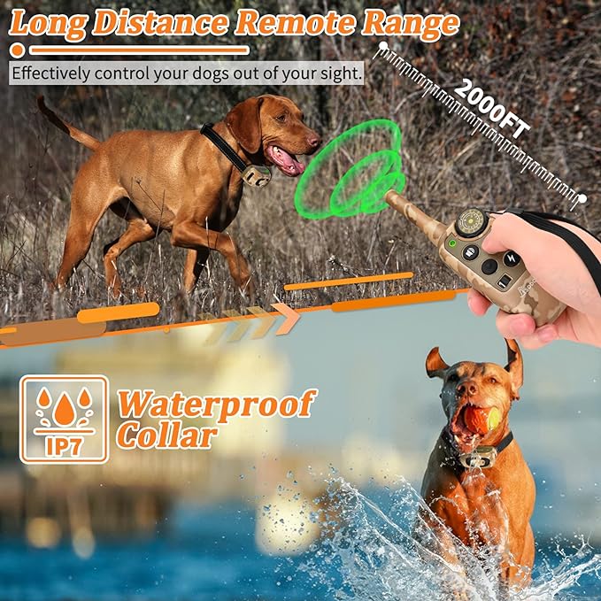 PawGuard T689 dog training collar
