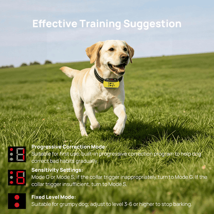PawGuard Stop Bark Collar PG301 Gentle No-Shock Bark Control for Dogs
