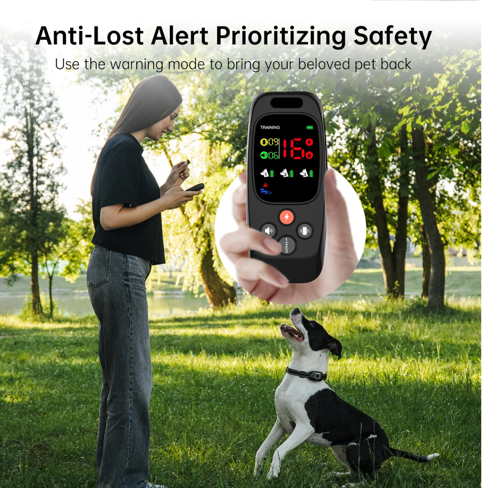 Pawguard T800 Training Collar