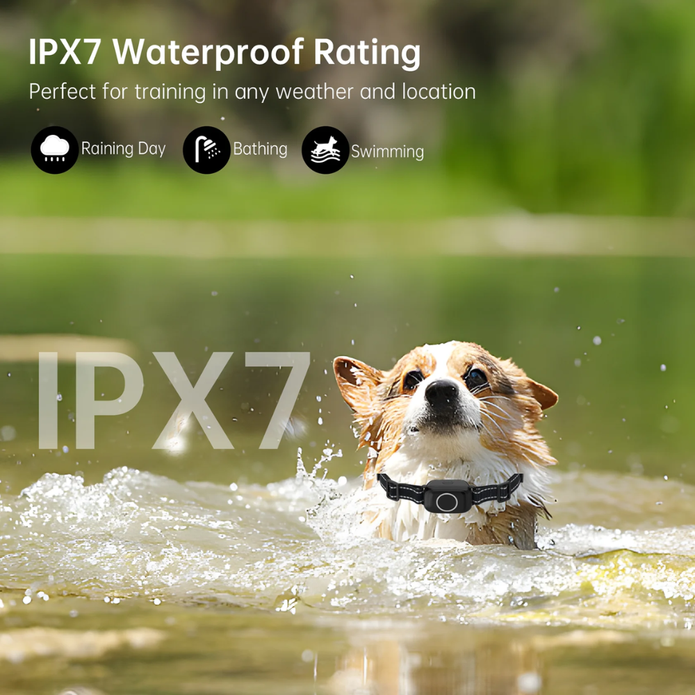 Pawguard T800 Training Collar