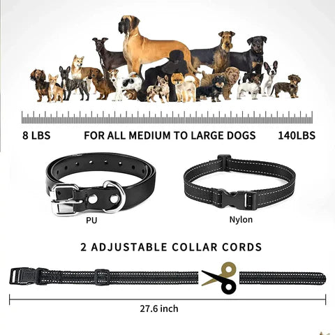 PawGuard T689 dog training collar