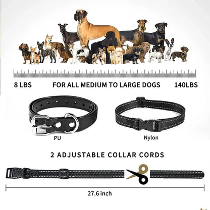 PawGuard T689 dog training collar