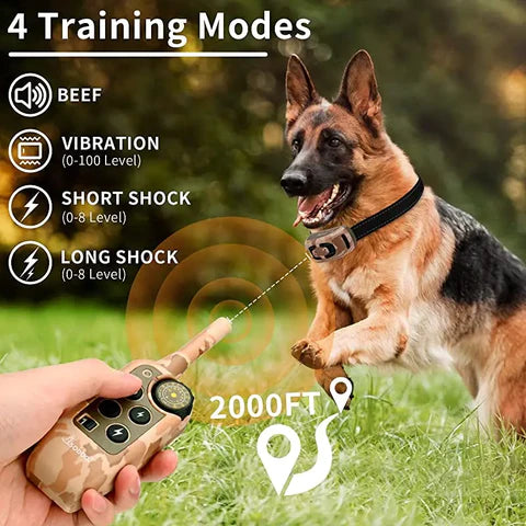 PawGuard T689 dog training collar