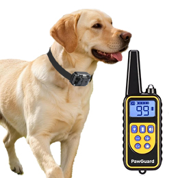 Remote Trainer